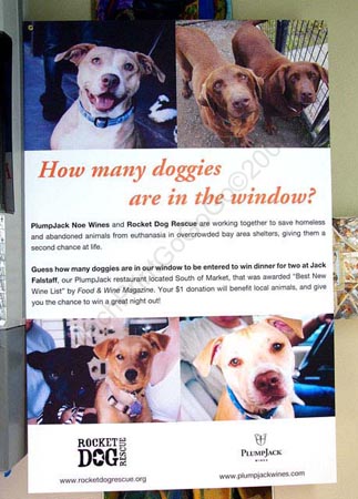 01_Doggies_P1150642_bg