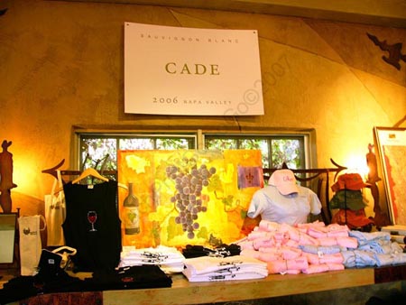 01_PJ_Cade_P1160782_bg