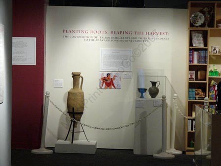 02_Museo_PlntgRts_P1160030_bg