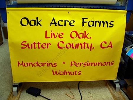 03_OakAF_P1160716_bg
